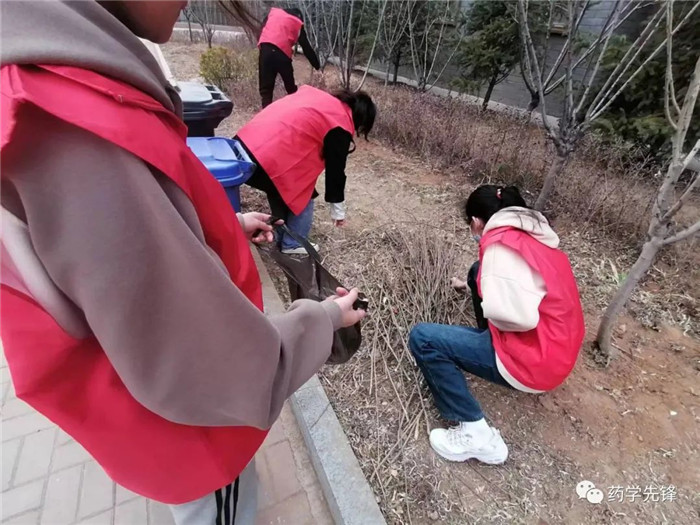 圖片11.jpg