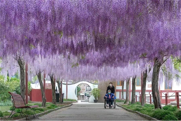 微信圖片_20240319153715.jpg